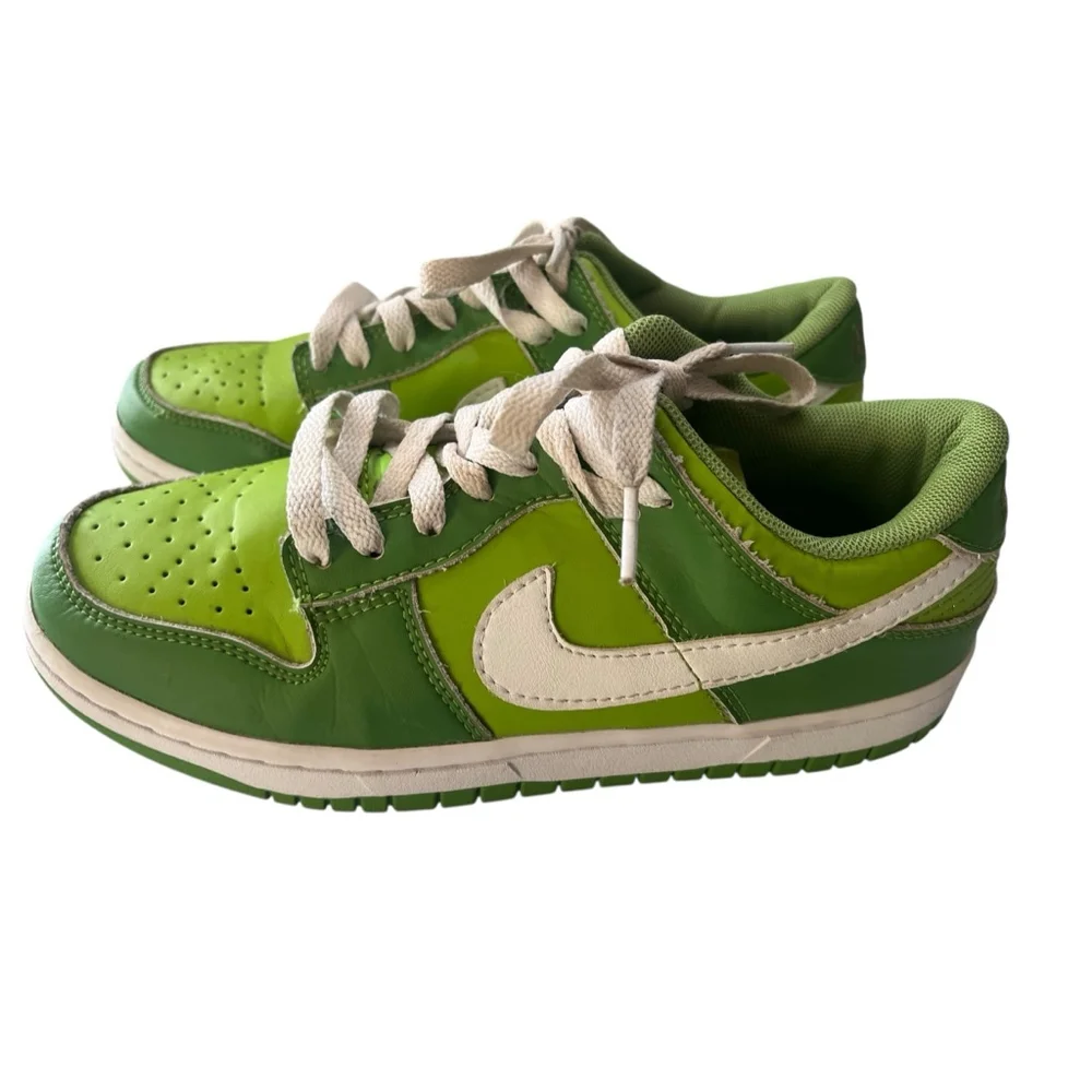 Nike Dunk Low Chlorophyll Green Size 8 Women's Sneaker Shoe Streetwear Casual